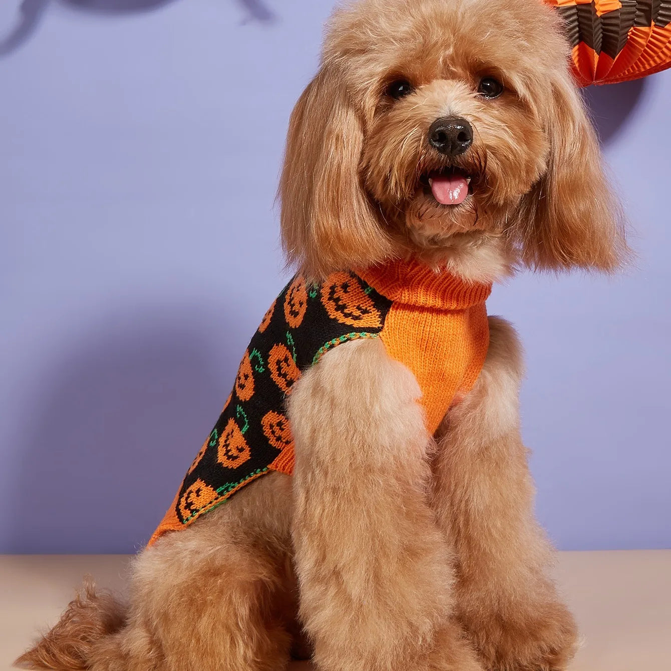 Pumpkin Pup Sweater – Cozy Halloween Knit for Dogs