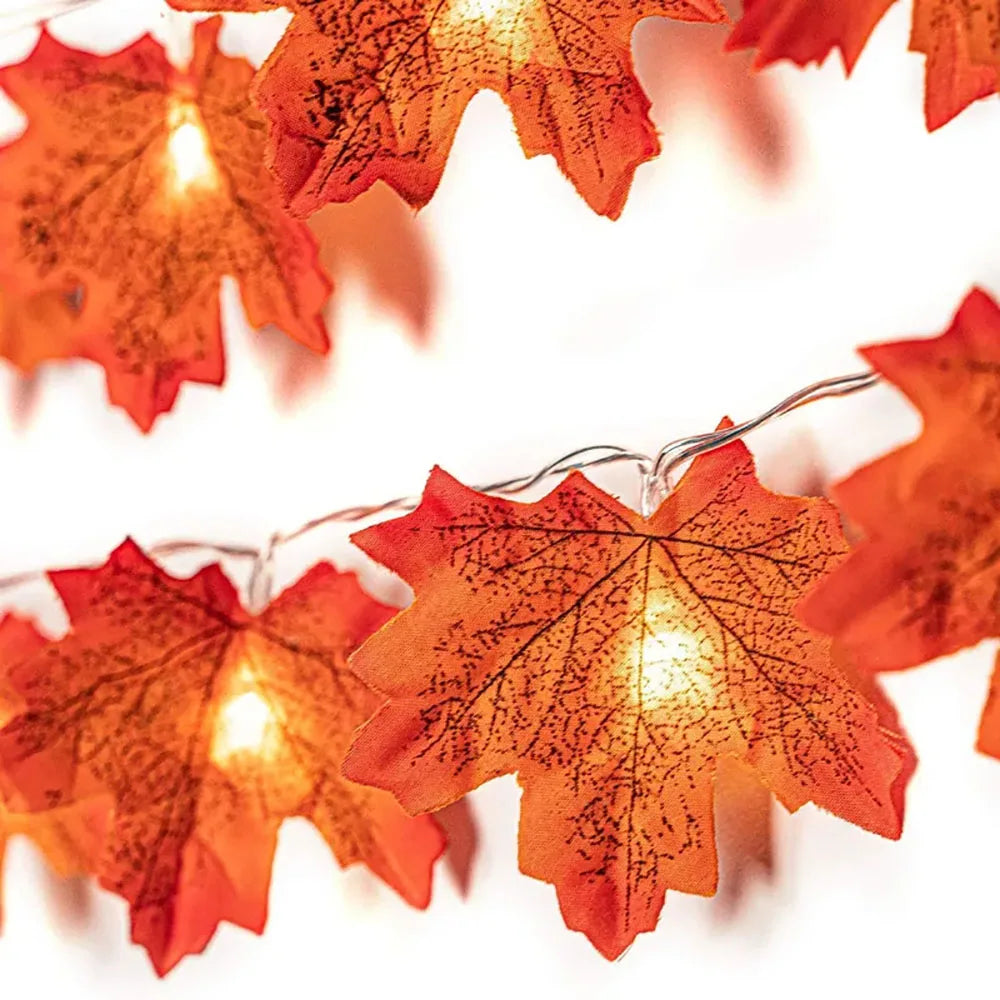 Spooky Glow Maple Leaf Lights