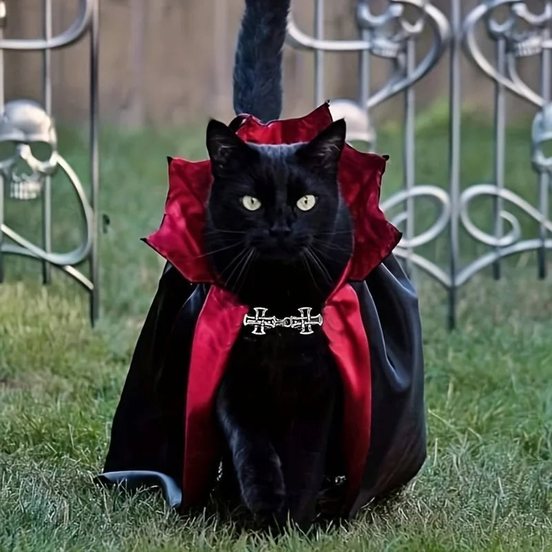 Vampurr Cape – Dracula Halloween Costume for Cats