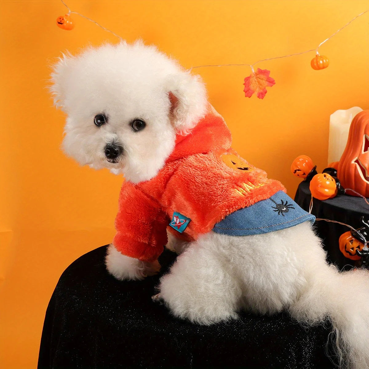 Pumpkin Paws Hoodie – Cozy Halloween Outfit for Pets