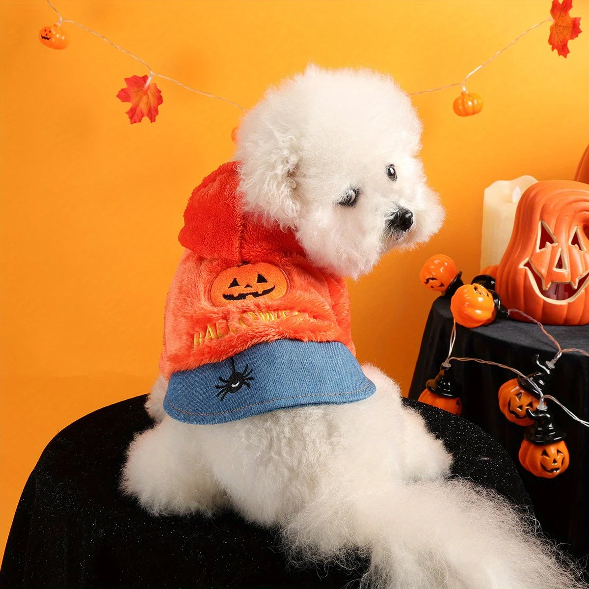 Pumpkin Paws Hoodie – Cozy Halloween Outfit for Pets
