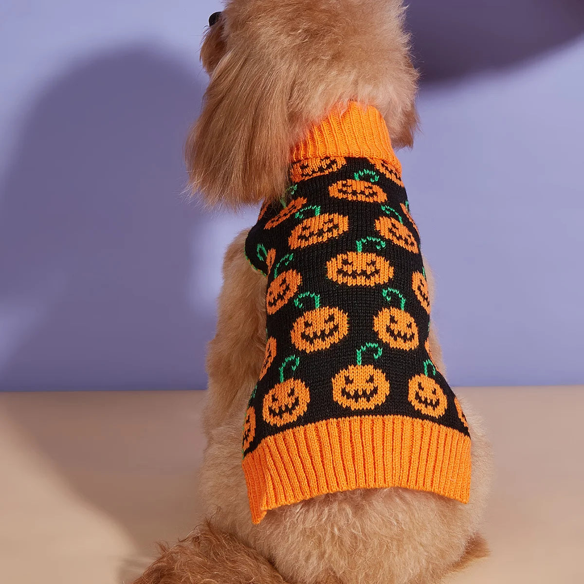 Pumpkin Pup Sweater – Cozy Halloween Knit for Dogs
